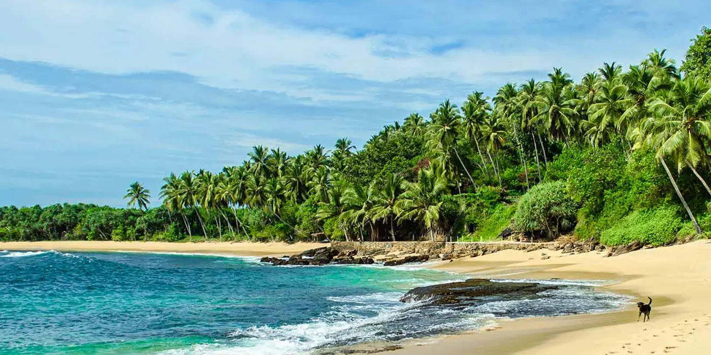 Tangalle Beach, Sri Lanka - A Comprehensive Travel Guide